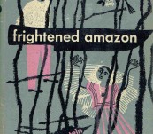 Frightened Amazon – Aaron Stein – First Edition 1950