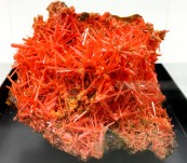 Australian Mineral Specimen – Tasmanian Crocoite