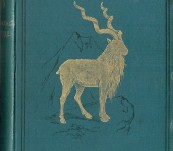 Hindu-Koh – Wanderings and Wild Sport on and Beyond the Himalayas  – Major General Donald Macintyre.– 1891