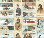 Polar Exploration Cards – Players Series 2