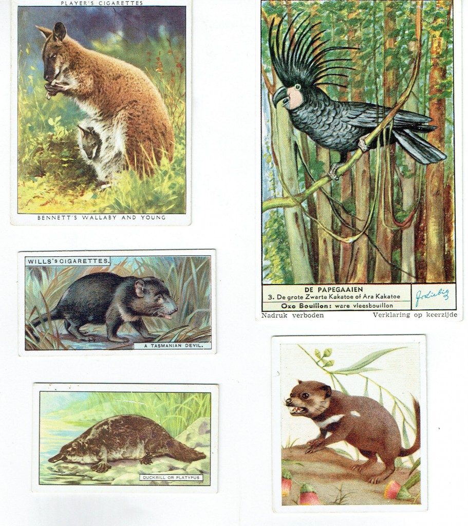 Australian Natural History Trade | Voyager Rare Books Maps & Prints