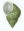 shell 5