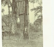 The Sexual Life of Savages in North-Western Melanesia – Bronislaw Malonowski