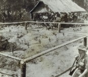 Original Press Photograph –  Australian Graves – Battle of Buna-Gona – 1942/43