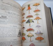 Mrs Isabella Beeton’s – The Book of Household Management comprising information for the Mistress, Housekeeper, Cook, Kitchen-Maid, Butler, Footman … Published 1892 [First with Australian Recipes]