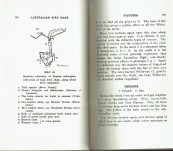 Australian Bird Maps – Robert Hall [Self Published Hobart 1922]