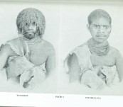 Thomas Bock’s Portraits of the Tasmanian Aborigines – N.J.B. Plomley