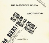 The Passenger Pigeon – by Joseph Quinn.