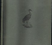A Manual of the Birds of Australia – Gregory Mathews and Tom Iredale.