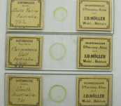 Three 19thC Prepared Microscope Slides of Australian Diatomaceae by J.D. Moller