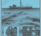 Resources of the Sea – Record of a Symposium arranged by the Royal Society of Tasmania