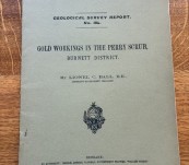 Gold Workings at Perry Scrub – Queensland Department of Mines Geological Survey No 184 – Lionel C Ball – 1903