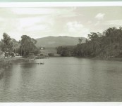 Tasmanian Period Photograph c1930 – Mt Wellington from Brown’s River – J.C. Breaden