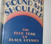 Rainbow Round My Shoulder – Howard Odum – 1928