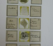 Thin Geological Section Microscope Slides -1913 – Set of Five