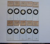 Ten Early Microscope Slides – Diatoms (including one Australian slide)