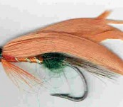 Orange Parson – Salmon Fly