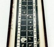 Rare Historical Microscope Slide HMS Dart Survey – Australian Waters 1897