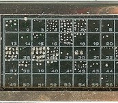 Unusual Microscope Slide – Foraminifera from East Pacific