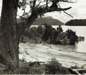 Photograph by B Sheppard – Active in the 1950′s   Mount Olympus from Lake St Clair, Tasmania