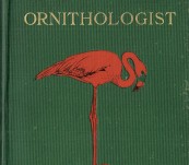 Camps and Cruises of an Ornithologist – Frank Chapman – First edition 1908