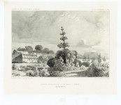 Hobart Botanical Gardens -1840 Jardin Botanique D’Hobart-Town – Original Lithograph from the Voyage of Dumont d”Urville