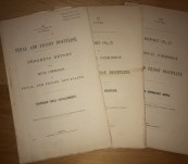 Penal and Prison Discipline in Victoria [Three Parts Complete] 1870 – 1872