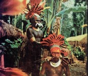 Adam in Plumes [New Guinea] – Colin Simpson.