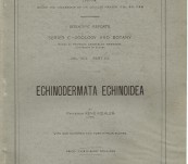 Australian Antarctic Expedition 1911-14. Scientific Reports Series C – Zoology and Botany – Vol VIII Part III – Echinodermata Echinoidea [Urchins].