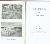 Pig Raising in Tasmania – V.J. Fagan