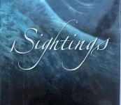 Sightings – The Gray Whales’ Mysterious Journey – Peterson and Hogan