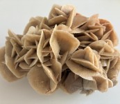 Australian Desert Rose – Gypsum.