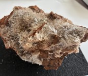 Scholzite – Reaphook Hill [Martin Wells Station] Flinders Range, South Australia.