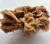 Australian Desert Rose – Unusual Gypsum Formation