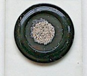 19th Century Microscope Slide – Soundings 240 Fathoms Storm Bay Tasmania – Norman London
