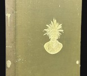 An Inquiry into the Animism and Folk-lore of the Guiana Indians by Walter Roth – First Edition 1915